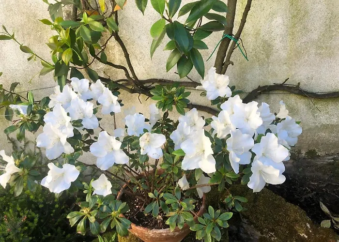 Apartmán Casa Di Silvia